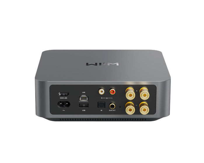 WiiM Amp — rear connections
